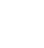 ship-icon