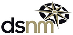 DSNM logo